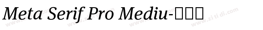 Meta Serif Pro Mediu字体转换